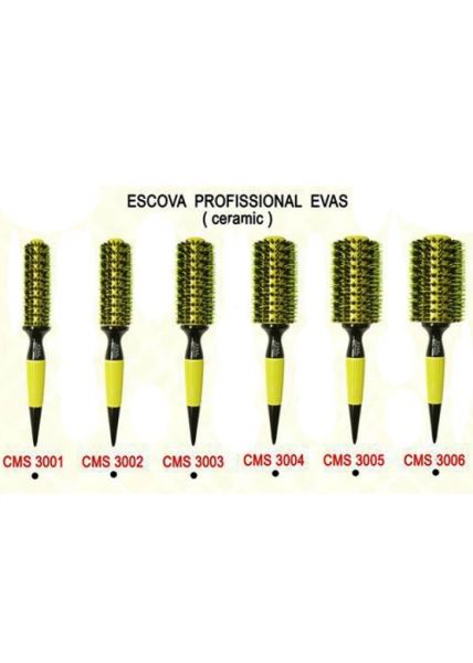 Kit Escovas Evas CMS com 6 unidades (3001 a 3006)
